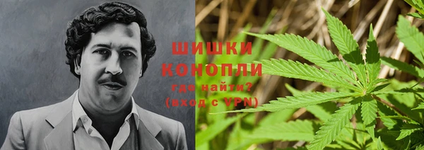 Альфа ПВП Абаза