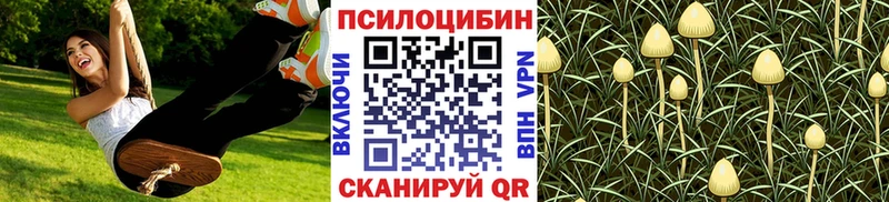 даркнет сайт  Иркутск  Галлюциногенные грибы MAGIC MUSHROOMS 